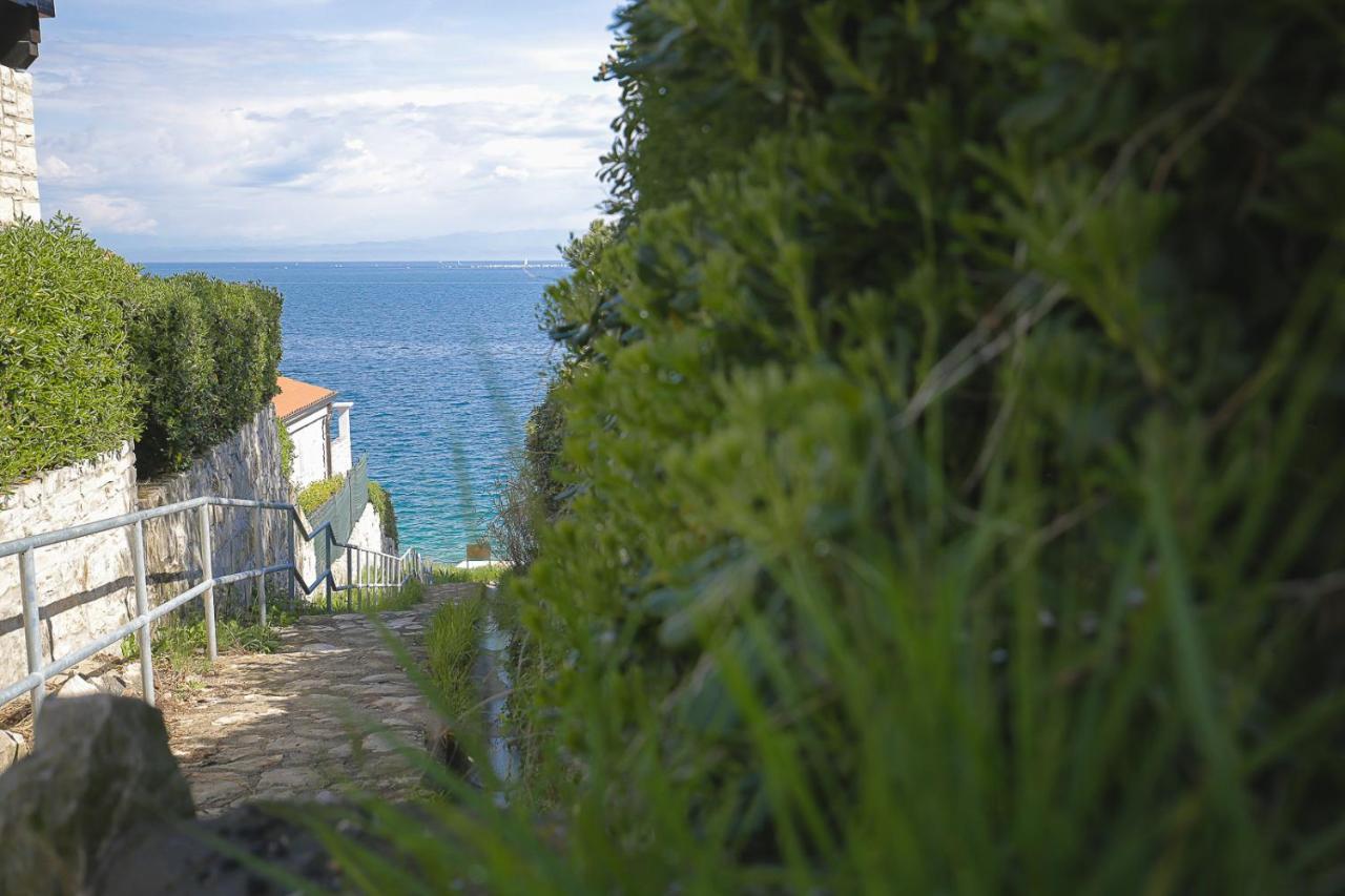 Apartments Villa Sofia Crveni Vrh Εξωτερικό φωτογραφία