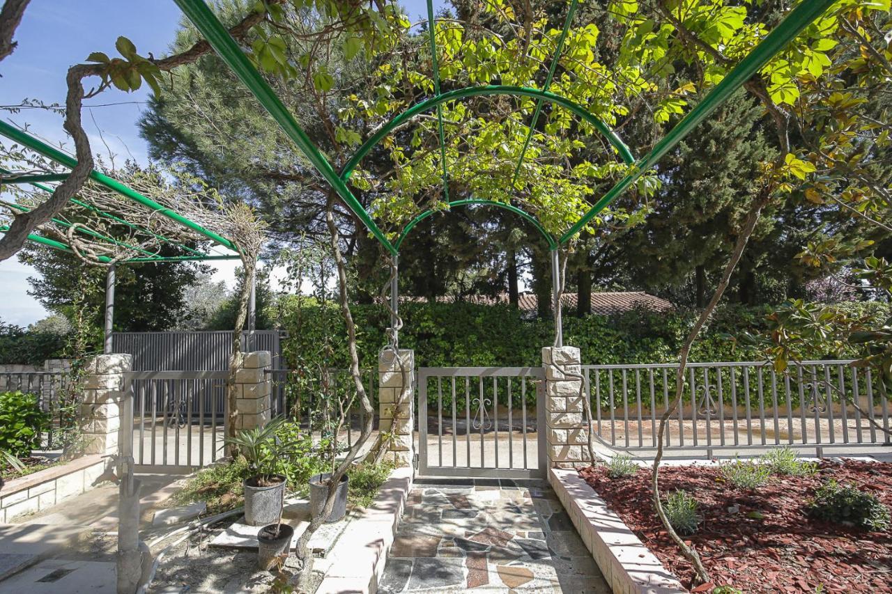 Apartments Villa Sofia Crveni Vrh Εξωτερικό φωτογραφία